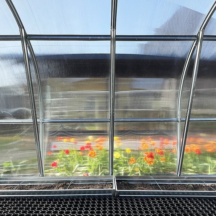 Rummeligt højtunneldrivhus i polycarbonat til en dansk køkkenhave