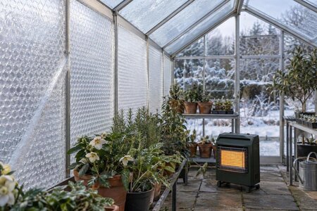 Boblefolie i glasdrivhuset: er det en god idé?