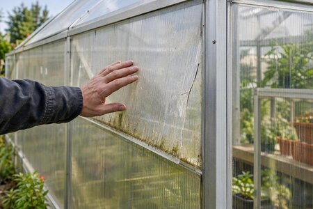 Hvornår er det tid til at skifte polycarbonatplader i drivhuset?