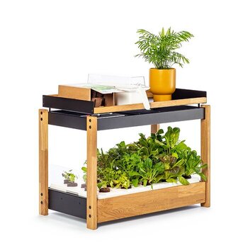 LivingBloom Smart Have