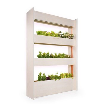 LivingBloom Smart Vægfarm