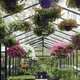 Lux Grand Orangerie