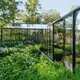 Lux Grand Orangerie