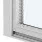 Softline